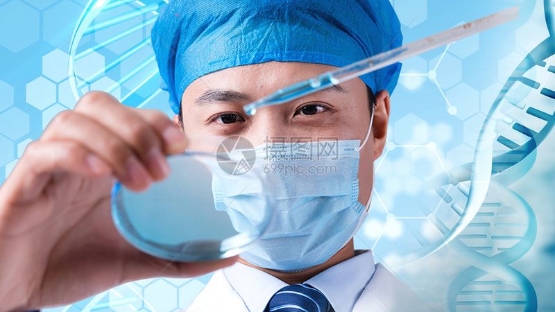 气血调理瑜伽：不同难度级别动作解析与选择