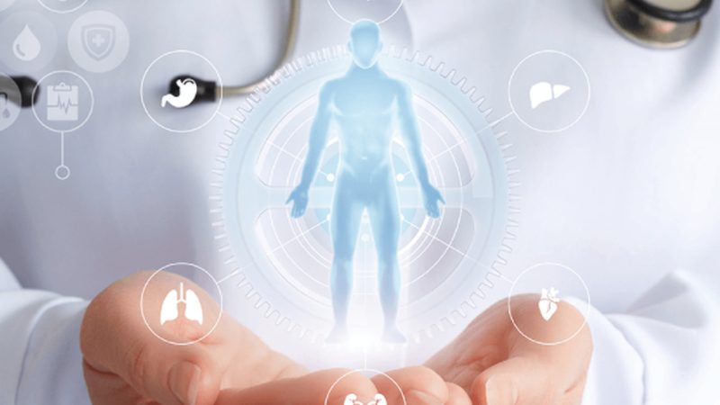 健康管理师教材电子版核心知识点解析